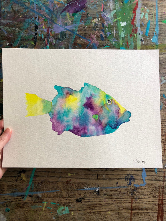 Hawaiian Triggerfish